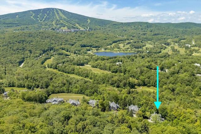 E12 Rock Ridge Rd, Winhall, VT 05340 - aerial view of a forest and a water and mountain view