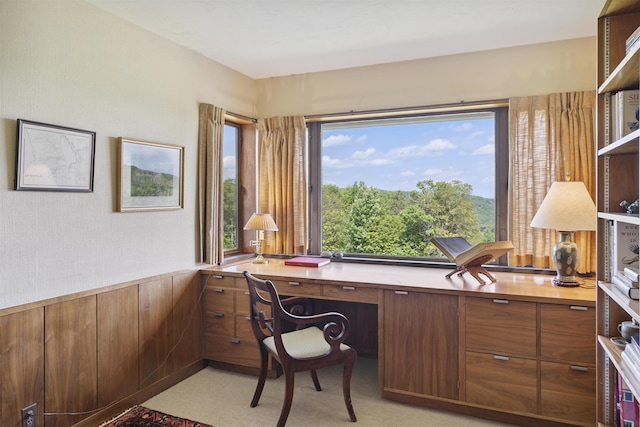 611 Simmons Rd, Andover, VT 05143 - office space featuring built in study area and wainscoting