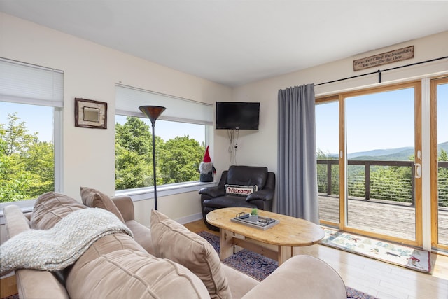 719 Roundabout Rd, Killington, VT 05751 - living room with wood finished floors and plenty of natural light