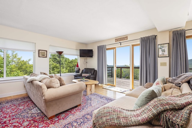 719 Roundabout Rd, Killington, VT 05751 - living room featuring wood finished floors and baseboards