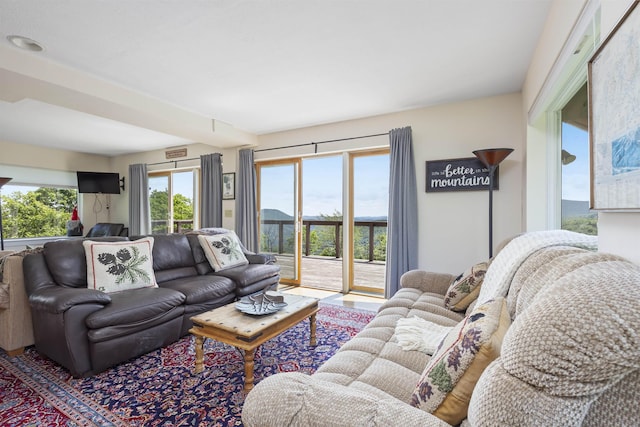719 Roundabout Rd, Killington, VT 05751 - view of living area