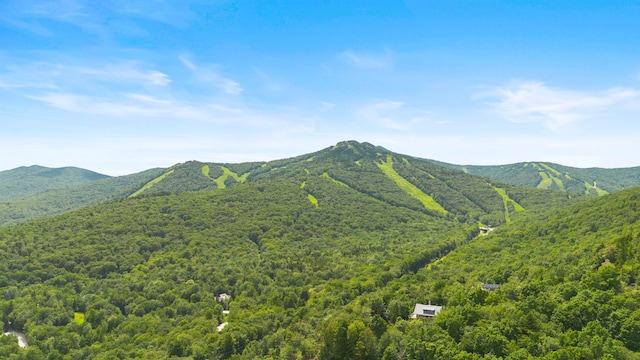 719 Roundabout Rd, Killington, VT 05751 - mountain view with a heavily wooded area