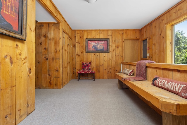 719 Roundabout Rd, Killington, VT 05751 - living area featuring carpet flooring, wooden walls, and electric panel