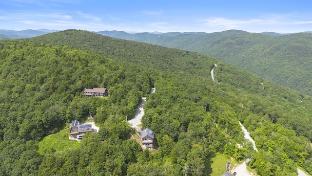 719 Roundabout Rd, Killington, VT 05751 - view of property location featuring a heavily wooded area and mountains