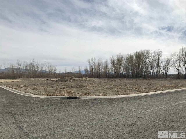 502 Sprague, Yerington, NV 89447 - photo 2