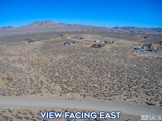 31 W Sierra View Dr, Smith, NV 89430 - photo 4