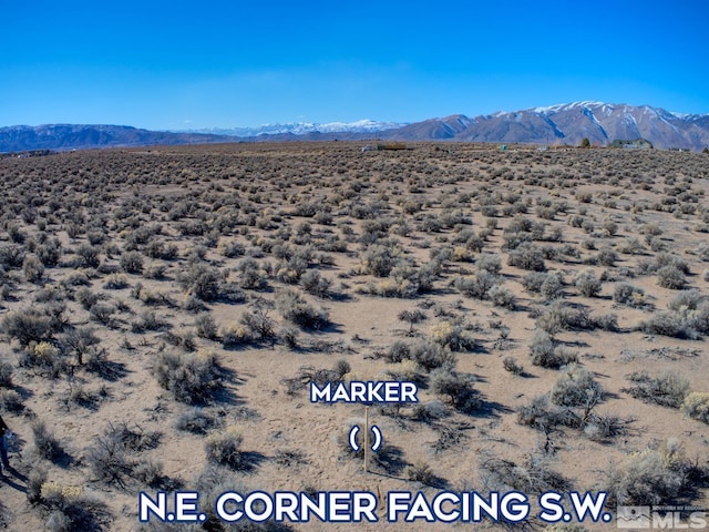 31 W Sierra View Dr, Smith, NV 89430 - photo 7