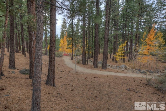 20647 Chanson Way, Reno, NV 89511 - photo 6