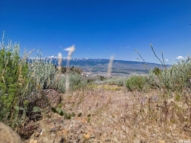 Kenneth Way, Reno, NV 89521 - photo 9