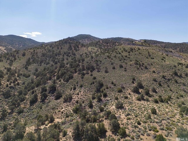 Kenneth Way, Reno, NV 89521 - photo 19