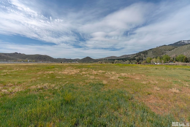 7755 US Highway 395, Washoe Valley, NV 89704 - photo 5