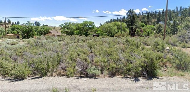 549 S Verdi Rd, Verdi, NV 89439 - photo 4