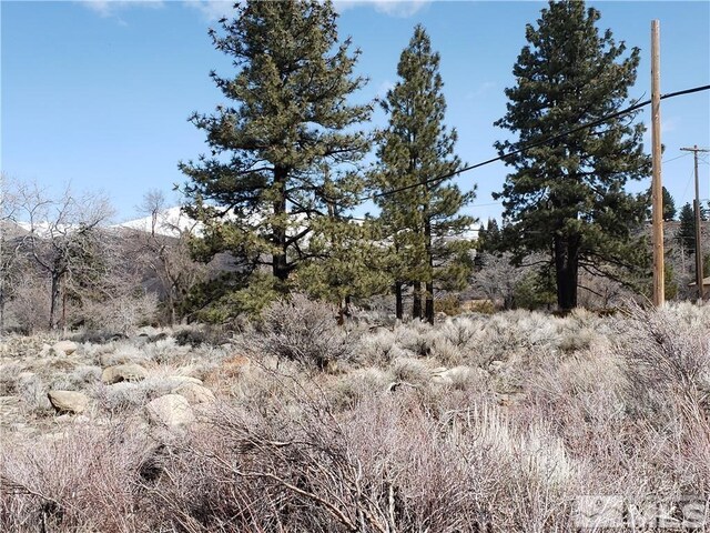 549 S Verdi Rd, Verdi, NV 89439 - photo 8