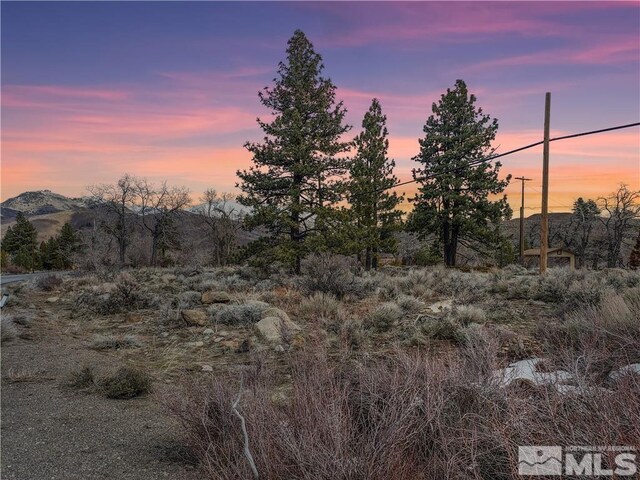 549 S Verdi Rd, Verdi, NV 89439 - photo 10
