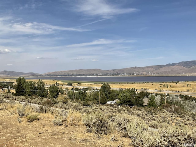 7595 Service Berry Rd, Washoe Valley, NV 89704 - photo 1