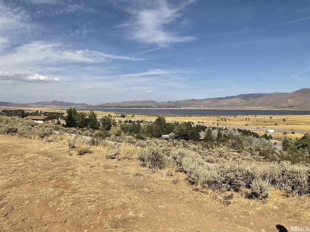 7595 Service Berry Rd, Washoe Valley, NV 89704 - photo 3