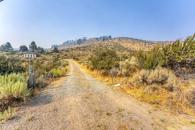 7595 Service Berry Rd, Washoe Valley, NV 89704 - photo 4