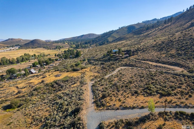 7595 Service Berry Rd, Washoe Valley, NV 89704 - photo 5