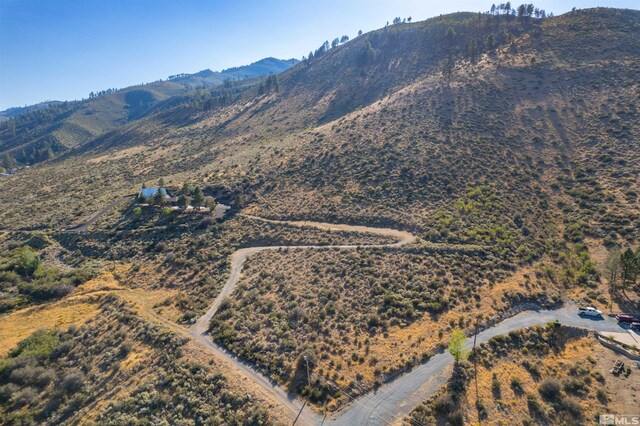 7595 Service Berry Rd, Washoe Valley, NV 89704 - photo 6