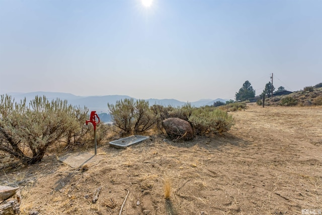 7595 Service Berry Rd, Washoe Valley, NV 89704 - photo 11