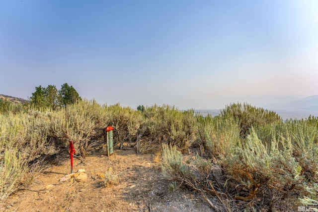 7595 Service Berry Rd, Washoe Valley, NV 89704 - photo 12