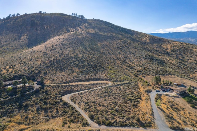 7595 Service Berry Rd, Washoe Valley, NV 89704 - photo 13