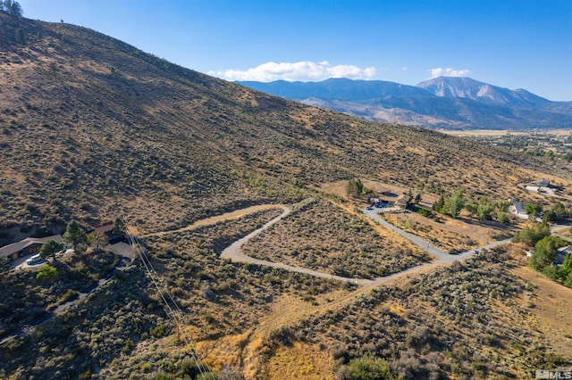 7595 Service Berry Rd, Washoe Valley, NV 89704 - photo 14