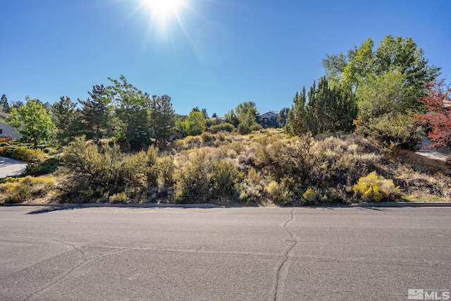 2860 Sagittarius Dr, Reno, NV 89509 - photo 3