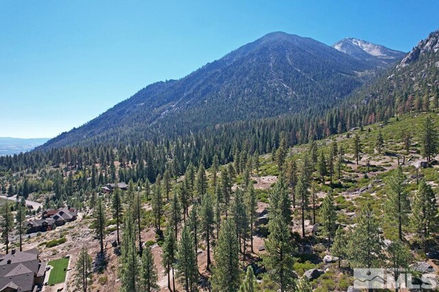 168 Five Creek Rd, Gardnerville, NV 89460