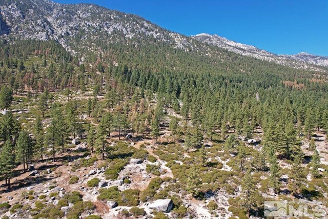 168 Five Creek Rd, Gardnerville, NV 89460
