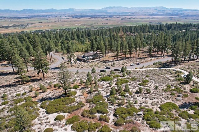 168 Five Creek Rd, Gardnerville, NV 89460