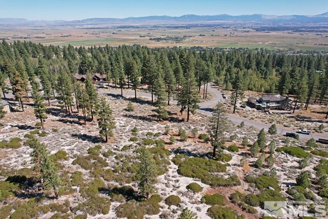 168 Five Creek Rd, Gardnerville, NV 89460