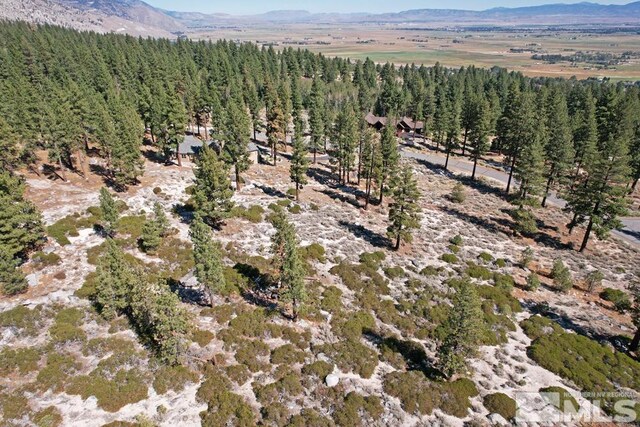 168 Five Creek Rd, Gardnerville, NV 89460