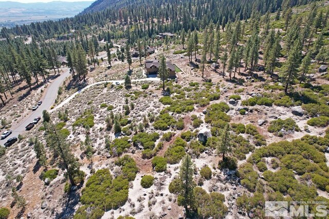 168 Five Creek Rd, Gardnerville, NV 89460