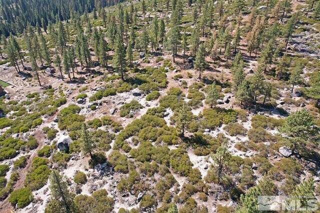 168 Five Creek Rd, Gardnerville, NV 89460