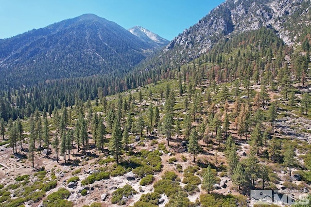 168 Five Creek Rd, Gardnerville, NV 89460