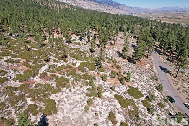 168 Five Creek Rd, Gardnerville, NV 89460