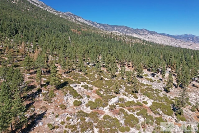 168 Five Creek Rd, Gardnerville, NV 89460