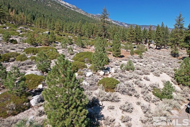 168 Five Creek Rd, Gardnerville, NV 89460