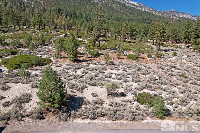 168 Five Creek Rd, Gardnerville, NV 89460