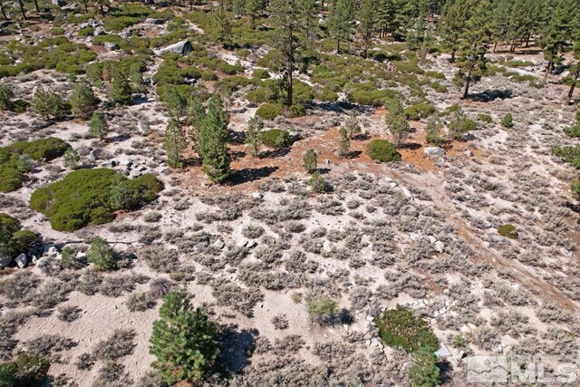 168 Five Creek Rd, Gardnerville, NV 89460