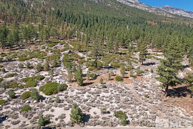 168 Five Creek Rd, Gardnerville, NV 89460