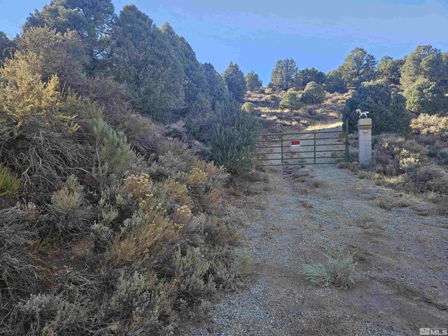 2360 Lousetown, Reno, NV 89521 - photo 4