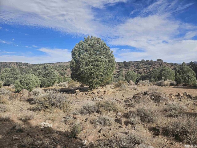 2360 Lousetown, Reno, NV 89521 - photo 13