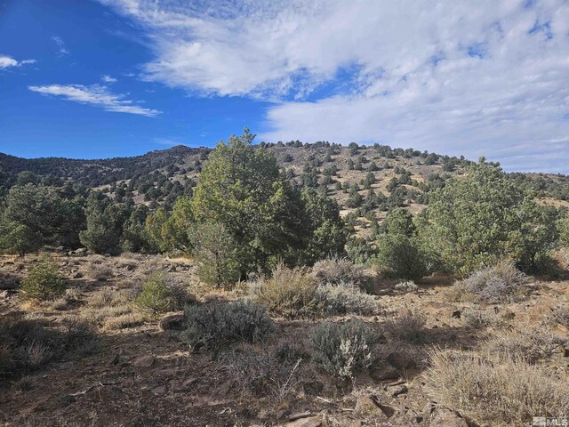 2360 Lousetown, Reno, NV 89521 - photo 14