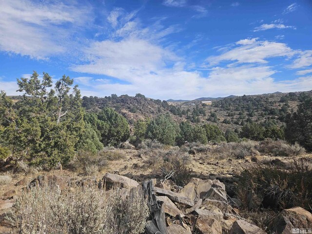 2360 Lousetown, Reno, NV 89521 - photo 18