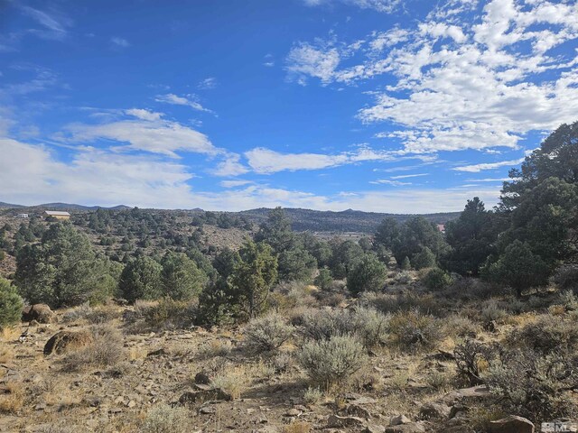 2360 Lousetown, Reno, NV 89521 - photo 19