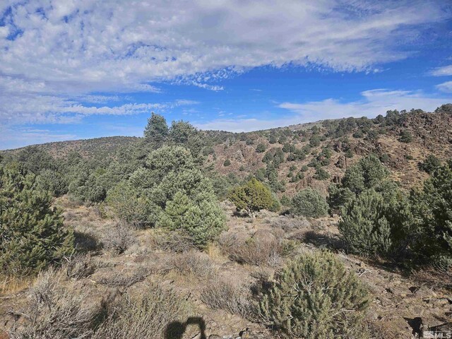 2360 Lousetown, Reno, NV 89521 - photo 21