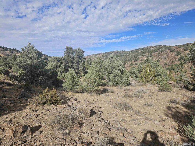 2360 Lousetown, Reno, NV 89521 - photo 23