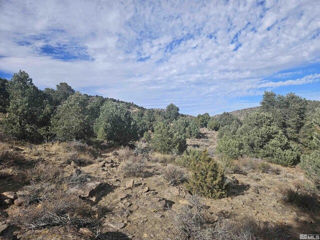 2360 Lousetown, Reno, NV 89521 - photo 24